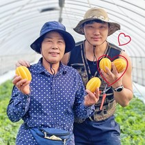 성주 참들농원 성주참외 가정용 못난이 과일 소과 중과 선물용 특정품 택1 1.5kg 2.5kg 5kg, 5.0kg, 03 가정용 중과