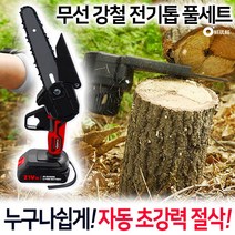 홈박스 무선 강철 전기톱 배터리 포함 세트 충전식 소형전기톱 전동 충전 체인톱, 전기톱 풀세트(배터리 1개 포함)
