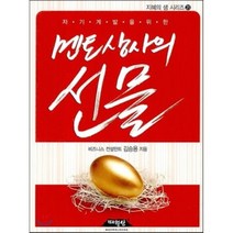 자기계발을 위한 멘토상사의 선물, 매월당, 김승용 저