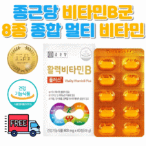 비타민BB6 종근당 구내염에 좋은 영양제 비타민B 여성피로회복제 종합8종비타민 혈행개선 월경전증후군 영양제 약 여드름에 좋은 비타민
