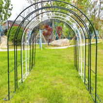 장미 아치 넝쿨 지지대 포도나무 정원 대문 꾸미기 [오디가 ODIGA], 검정색, 받침대, 너비3.0m / 높이2.2m