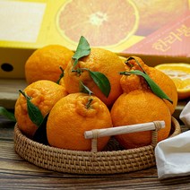 산지직송 고당도 제주 한라봉 명절 과일 선물세트 제주도 한라봉 가정용 선물용 설선물세트 2kg 3kg 5kg 10kg, 선물용 3kg (보자기포함)