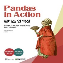 하나북스퀘어 판다스 인 액션, 9791169210102