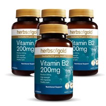 호주 허브스 오브 골드 Herbs of Gold Vitamin B2 비타민B2 200mg 60정, 4팩