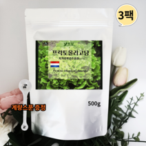 네덜란드 프락토올리고당 분말 신 프리바이오틱스 유산균분양 갈락토올리고당 이눌린 500g3팩