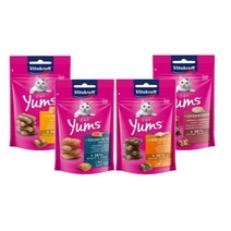 비타크래프트 캣얌 고양이 인기간식 40g 4종택1, 1개, 연어