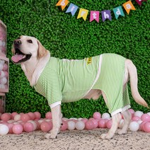 펫보스 강아지옷 중형견 대형견 면 스트라이프 올인원, 그린스트라이프