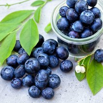 국내산 블루베리 생과 중과 100gX1팩, *I651_국내산블루베리생과중과100g1팩, 단품