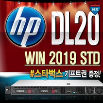 DL20 G10 (E-2224 64GB 1TBx2 WIN2019 STD) 서버 HP