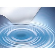 물에 녹는 종이(9632)/SSG