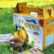 도라지 배즙 신토불이 상주 웰빙농장 도라지배즙 2박스(100팩) 중탕, 100팩, 120ml