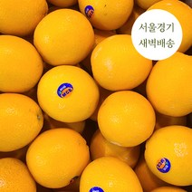 새벽배송 당일배송 프리미엄 네이블 오렌지 수입과일 1kg 3kg 새벽경매 가락시장, 친환경 네이블 오렌지 1kg