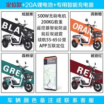 세발 전기자전거 3륜 삼륜 배달 전동 자전거, 기본블랙(다른색상원할시 톡톡또는문의)