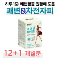 프리미엄 차전자피 식이섬유 쾌변 쎈 차전자피 50대 엄마 아빠 부모님 쾌변 다이어트 장 건강 배변 걱정 화장실 고민 하루 1포 건강기능식품 식약처 인정, 12+1개월치, 6000mg x 30포 (하루1포)