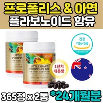 식약처인증 24개월분 뉴질랜드 프리미엄 대용량 프로폴리스 플라보노이드 아연 600mg 활성산소 항산화 면역에 도움 온가족 키즈 어린이 아기 임산부 캡슐 추천 효능 직구 홈쇼핑