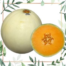 수입메론 오렌지듀 멜론 3.5kg이내(2개입), 단품