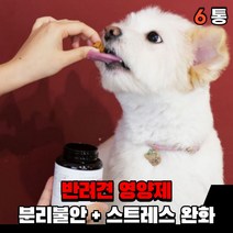 강아지 스트레스 영양제 분리불안 안정영양제 완화제 불안증세 분리 불안 해소제 추천 애견 반려견 소형견 대형견 영양제, 스트레스 + 분리불안(6통)