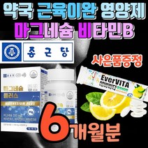 식약처 신경 근육 기능 인증 마그네슘제 440mg 신경비타민 플러스 흡수율높은 산화마그네슘 위드 비타민b 영양제 고함량 파워 맥스 근육이완 마그네숨 마그네슘 제제 약국 사은품증정