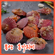 [ 통영 홍 가리비겟 ] 오후 2시까지 당일배송 마진 제로 가리비 특가!! 통영 홍가리비 1kg 국내산 당일배송 당일조업, 홍가리비 1kg [ 35미 내외 ]