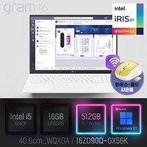 LG 2022 그램16(12세대) 16ZD90Q-GX56K [이벤트 한컴오피스 증정], WIN11 Pro, 16GB, 512GB, 코어i5, 화이트
