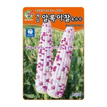 오스템 옥수수씨앗 제일알록이찰옥수수 150립
