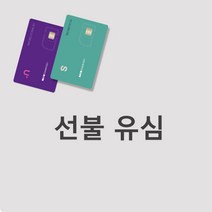 SK KT LG 선불유심 데이터 충전 요금제 선불폰 무제한 개통 통신체납 본인인증, 1개