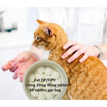고양이 Fip 감염 복막염 / 테이블, 02 10mg