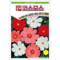 (아시아종묘/꽃씨앗) 코스모스(500립)