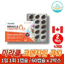 프리미엄 코스트코 약국 리얼 코큐텐 100 코자임 큐텐 coq10 유비퀴논 맥스 혈압 영양제 캐나다 직수입 활력 비타민B군, 2박스