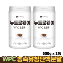 뉴트로웨이 WPC 농축유청 단백질 분말 BCAA 류신 로이신 근육 필수 아미노산 단백분말, 2통, 초코맛 600g