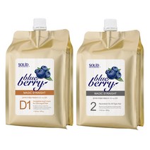 아름다운 블루베리 매직스트레이트 500g(손상모용), _659_워터타입, 단품