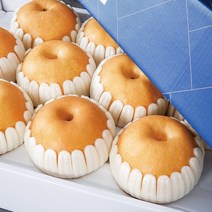 [농부마음] 나주 산지직송 나주 꿀 배 3kg 5kg 7.5kg 15kg 명절 과일 선물용 & 가정용 햇배 신고배 선물 세트, 1box, 가정용 7.5kg 7-10과
