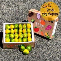 식탐대첩 명절 선물세트 프리미엄 제주 귤 2.5kg, 1