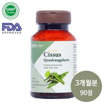 모닝컴스 Cissus quadrangularis 시서스 500mg 3개월분 90정