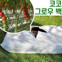 [조이가든] 코코그로우백, 코코그로우백+베이스트레이SET