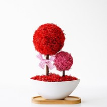 스칸디아모스 달빛모스 화분, 1개, 04_레드