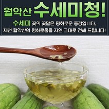 월악산 수세미청 1병