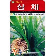 삼채 씨앗 100립, 단품