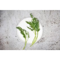 딜 가락시장 (100g), 1개