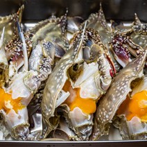 [삼시세끼연구소최상품] 국내산 생물 꽃게 활꽃게 수꽃게 암꽃게 3kg 3키로 수꽃게찜 찜용 간장게장 산지 당일 꽂게 꽂개 숫게 대 특대 알배기, 최상품 꽃게 3kg