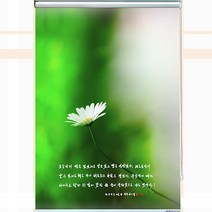 (주)집현전 롤스크린 방염 암막실사 이미지출력 주문제작 1000x1000 1200x1800 1500x1800 1800x2100 2100x2100