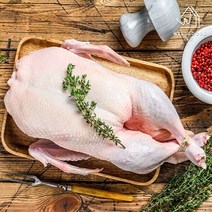 [웰굿] 전남 토종 생오리 백숙용(2-2.7kg), 1개