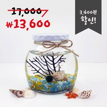 미니가든 틴캡 어항 산호 마리모키우기 DIY 키트, 색돌5.하늘