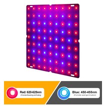 원예용품 모종 매트 LED 식물 빛 빨간색과 파란색 스펙트럼 양자 보드 즙이 많은 성장 채우기 실내 심기 영, 01 81  LEDS_04 AU