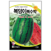 복덩이 복수박 10립/미니꿀수박 씨앗 종자
