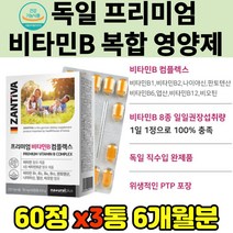 프리미엄 수입 비타민B 비오틴 판토텐산 칼슘 영양제 나이아신 엽산 독일산 멀티비타민