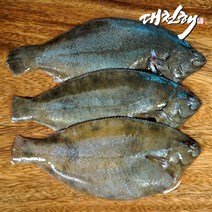 대천해 국내산 봄 도다리 손질후 500g ( 도다리쑥국 )