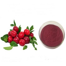 크랜베리농축분말H 100g 샘플, 단품, 단품
