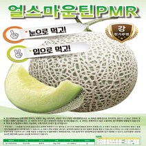 얼스마운틴피엠알 100립 멜론씨 멜론종자 멜론씨앗