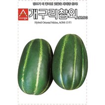 [조이가든] 씨앗 - 개구리 참외 (50립)